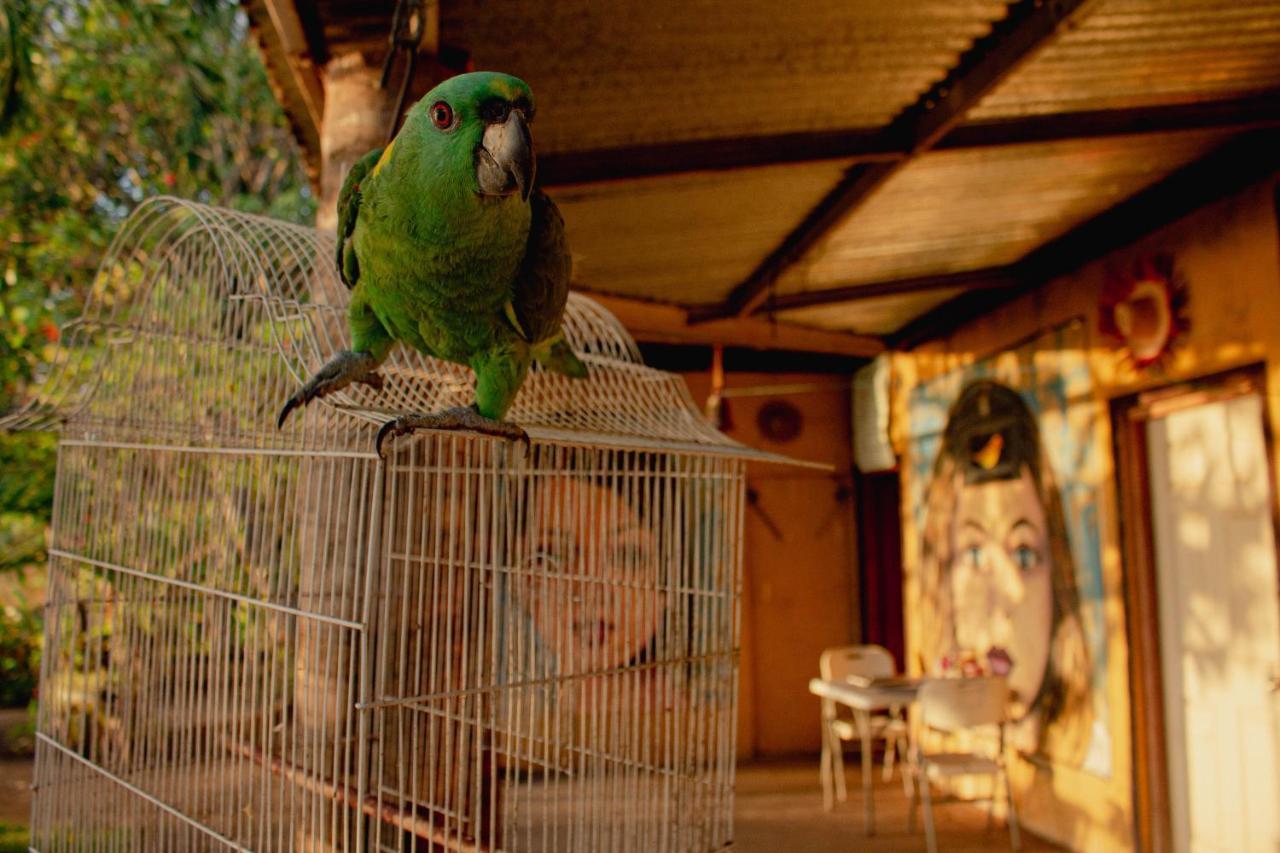 La Casa Del Artista Apartment Esquipulas Екстериор снимка